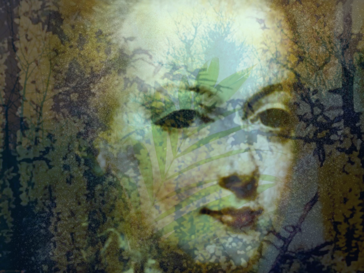 Marie Antoinette composites image 